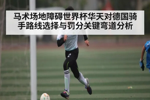 马术场地障碍世界杯华天对德国骑手路线选择与罚分关键弯道分析 - kaiyun